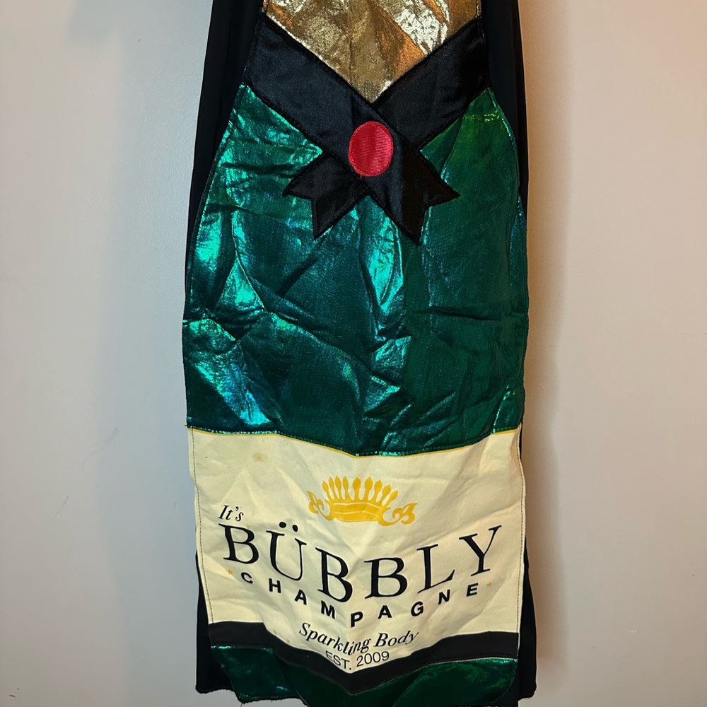 Women’s Champagne Bottle Novelty Dress – Always Bubbly Sparkling Wine Costume - Picture 2 of 4